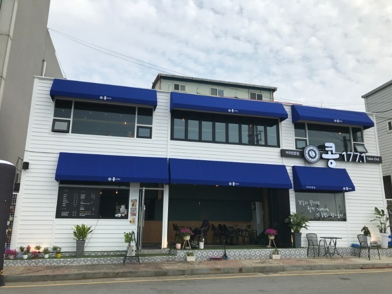 콩.jfif