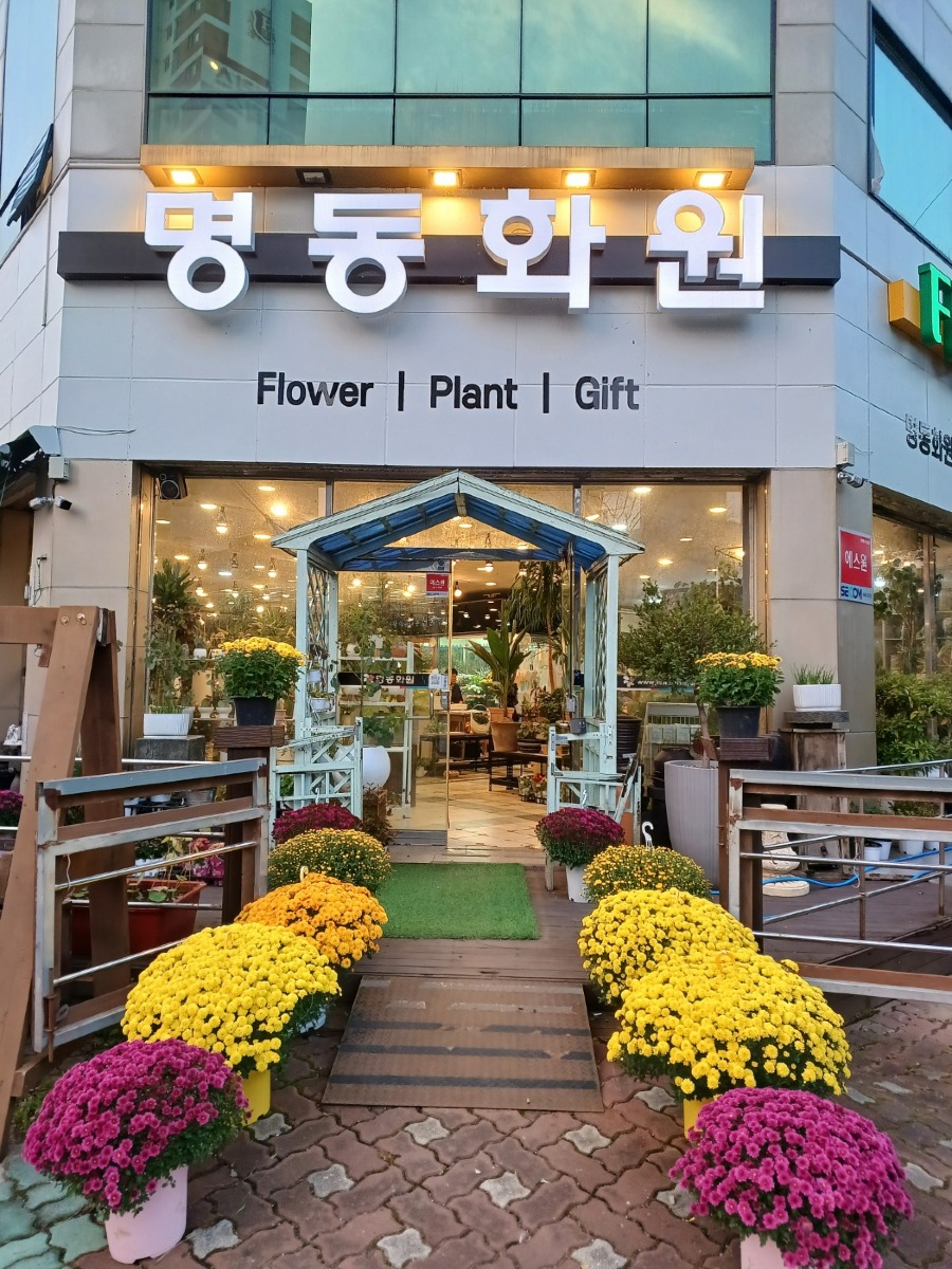 명동3.jpg
